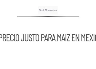 Gobierno lanza plan de precio justo para maíz blanco en México