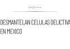 Desmantelan células criminales vinculadas a ‘Don Checo’ en México