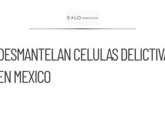 Desmantelan células criminales vinculadas a ‘Don Checo’ en México