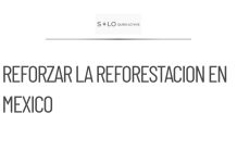 Semarnat establece meta de reforestación de 151 mil hectáreas