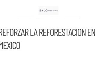 Semarnat establece meta de reforestación de 151 mil hectáreas