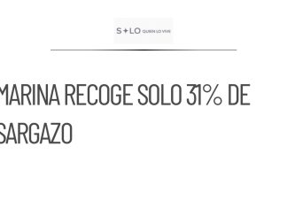 Marina puede recolectar solo 31% del sargazo que llega a costas