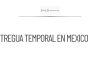 El Mundial genera tregua temporal en la polarización social