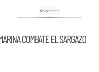 Intervención de la Marina para combatir el sargazo