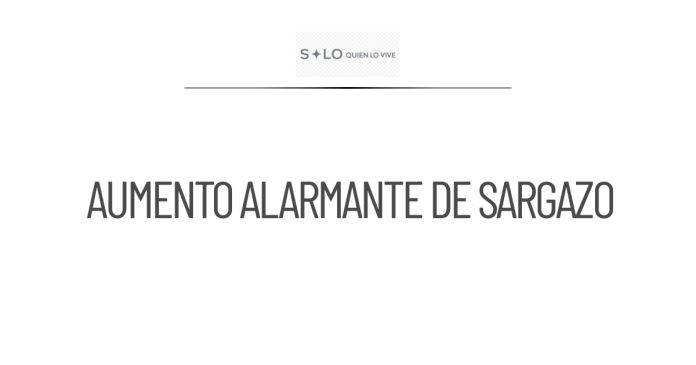 Aumento alarmante de sargazo en el Caribe mexicano