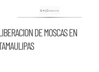Tamaulipas comenzará liberación de moscas estériles contra barrenador