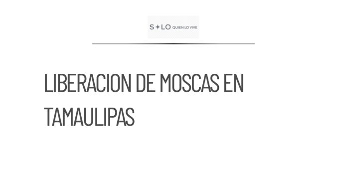 Tamaulipas comenzará liberación de moscas estériles contra barrenador