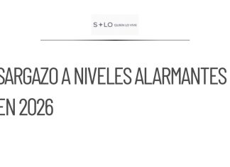Aumenta drásticamente el sargazo en el Caribe en 2026