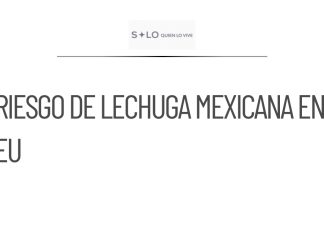 Salud realiza estudio epidemiológico sobre lechuga mexicana en EU