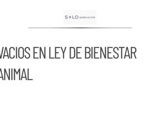 Semarnat reconoce vacíos en propuesta de ley de bienestar animal
