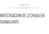 Ssa investiga lechuga de Guanajuato por brote en Estados Unidos