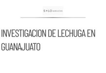 Ssa investiga lechuga de Guanajuato por brote en Estados Unidos