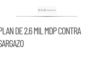 Sheinbaum presenta plan de 2.6 mil mdp para combatir sargazo