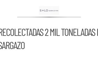 Más de 2 mil toneladas de sargazo recolectadas en Costa Maya