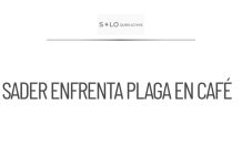 Sader enfrenta plaga de roya en cultivos de café en Veracruz