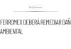 Ferromex deberá remediar un derrame ambiental en Sonora