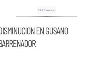 Tamaulipas reporta disminución en casos de gusano barrenador