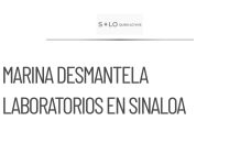 La Marina desmantela tres laboratorios de drogas en Sinaloa