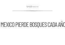 México pierde 204 mil hectáreas de bosques cada año